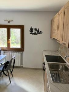 cocina con fregadero y encimera en La Baita Del Cervo, en Castel di Sangro