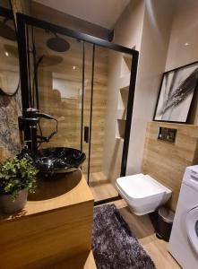 ein Bad mit einem schwarzen Waschbecken und einem WC in der Unterkunft Nautikka Park Krynica Apartamenty Przy Plaży in Krynica Morska