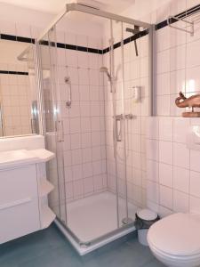 ein Bad mit einer Dusche und einem WC in der Unterkunft Apartment 509 - FeWo in der Villa Kurpark in Zingst