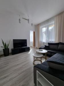 - un salon avec un canapé et une télévision dans l'établissement Apartament Korzenioskiego 7/2, à Przemyśl