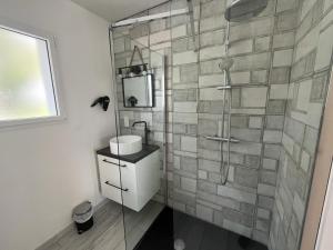 un bagno con doccia, lavandino e specchio di Gîte du Pin avec Spa privatif a Pey