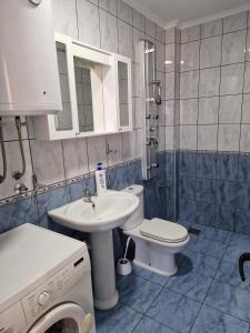 Zlatište的住宿－Apartman Vujovic，浴室配有卫生间、盥洗盆和洗衣机。