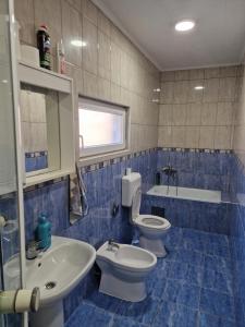 Zlatište的住宿－Apartman Vujovic，蓝色瓷砖浴室设有卫生间和水槽