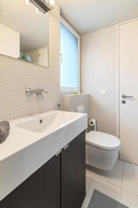 bagno con lavandino e servizi igienici di Retraite Bohème - Projecteur, Netflix, Lac Proche a Estavayer-le-Lac