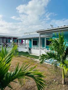 una fila de casas con palmeras delante de ellas en Posada Camp Inn Providencia, en Providencia