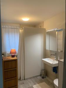 a bathroom with a shower and a sink and a toilet at Chez Svanette B&B Villa Sonnglück in Zullwil