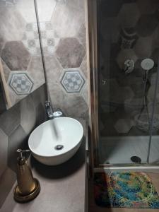 ein Bad mit einem Waschbecken und einer Dusche in der Unterkunft Lady D Bed&Breakfast in Rom