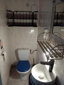 a small bathroom with a toilet and a sink at la halte rando in Bangor