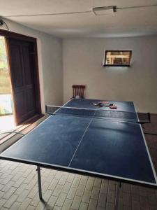 a large ping pong table in a room at Veress Apartman Tusnádfürdő in Băile Tuşnad