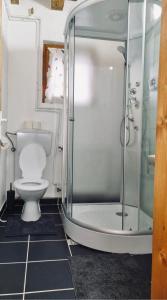 W łazience znajduje się toaleta i przeszklony prysznic. w obiekcie Veress Apartman Tusnádfürdő w mieście Băile Tuşnad