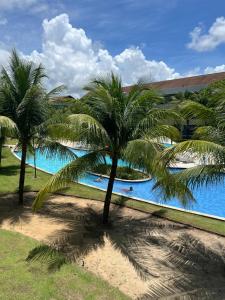 a group of palm trees in front of a swimming pool at Carneiros Beach Resort - Flat 205-A in Praia dos Carneiros