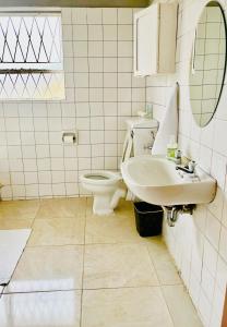 a bathroom with a toilet and a sink at Lavender Lodge Twin in Mthatha