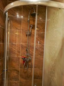 a shower with a shower head in a bathroom at Willa Szafir z WIDOKIEM NA ZALEW in Krynica Morska