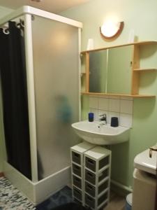 a bathroom with a sink and a shower at chez christine in Sainte-Marie