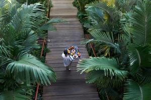 Zahrada ubytování Hôtel Barrière Le Carl Gustaf St Barth