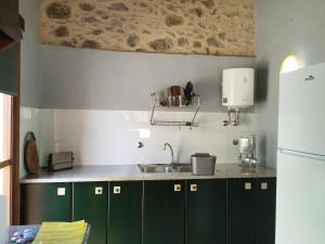 TortelláにあるMas Ca La Coixaのキッチン(緑のキャビネット、白い冷蔵庫付)