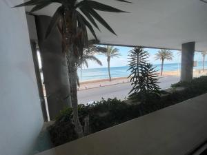 - Vistas a la playa desde un edificio con palmeras en Mahdia vue sur mer 1, en Mahdia