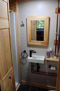 y baño con lavabo y espejo. en Zen of the Woods Tiny Cabin in Okemo Valley, en Chester