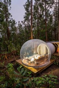 una casa con cúpula de cristal sobre una mesa de madera en el bosque en KAZ INSOLITE, en Saint-Louis
