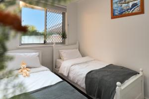 1 dormitorio con 2 camas y un osito de peluche sentado sobre ellas en Cozy 5 bed House Nr Airport/DFO/Casino en Perth