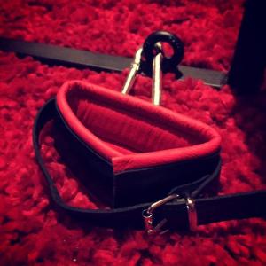 Fotografie z fotogalerie ubytování Escapade Coquine v destinaci Ploërmel