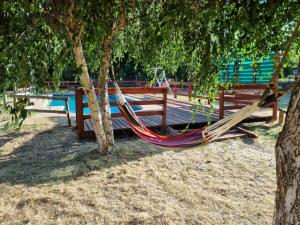 a hammock between two trees in a park at Cabaña con jacuzzi, 7 personas. in Quillón