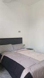 亞的斯亞貝巴的住宿－Onset Apartment，卧室内的一张大床,拥有白色的墙壁
