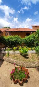 a garden with potted plants in front of a house at Luamar Chalés in São Miguel do Gostoso