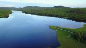 einem Luftblick auf einen See inmitten eines Waldes in der Unterkunft Sam Arctic in Övertorneå
