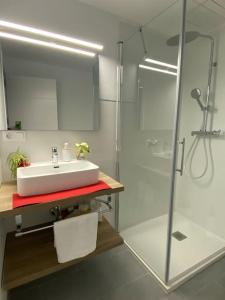 uma casa de banho com um lavatório e uma cabina de duche em vidro. em Encantador y la mejor ubicación em Alcalá del Júcar