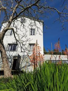 un edificio blanco con un árbol y algunas plantas en Casa Natura Galicia, en Santa María La Mayor del Rosario