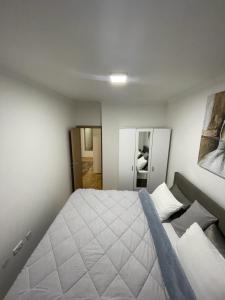 1 dormitorio con 1 cama grande y espejo en Oasis of Peace en Trebinje