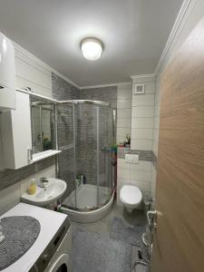 a bathroom with a shower and a toilet and a sink at Oasis of Peace in Trebinje