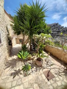 希克利的住宿－Borgo Hedone，一座花园,在一座建筑前种植了棕榈树和植物