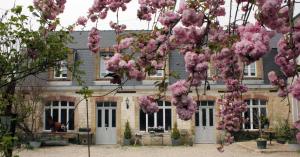 A garden outside Le Presbytère de Sévigny