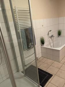 ein Badezimmer mit einer Dusche, einer Badewanne und einem Waschbecken in der Unterkunft Ferienwohnung Hof Schäfer in Waldeck