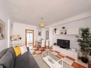 TV a/nebo společenská místnost v ubytování Gran apartamento en el Centro Histórico