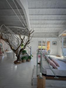 un dormitorio con una cama y un árbol dentro en Suite con Jacuzzi, en Canyelles