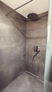 eine Dusche mit Duschkopf im Bad in der Unterkunft Heimatliebe Wohnung FÜNF in Erfweiler