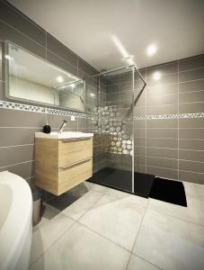 ein Bad mit einer Dusche, einem Waschbecken und einem WC in der Unterkunft Residence Belfort in Le Mans