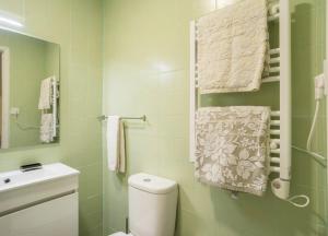ein grünes Bad mit einem WC und einem Waschbecken in der Unterkunft Spacious Apartment in Belém in Lissabon