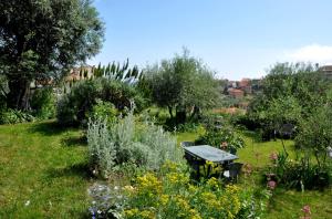 A garden outside Cà dei Conti