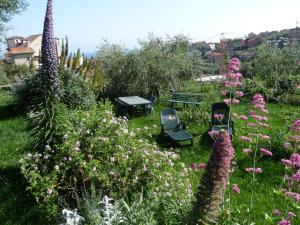 A garden outside Cà dei Conti