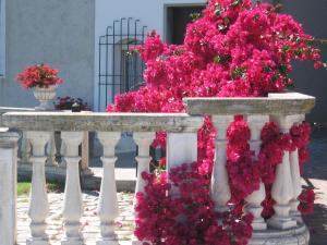 A garden outside Cà dei Conti