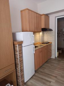 Kuchyň nebo kuchyňský kout v ubytování VILLA ANESTIS