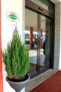 a plant in a pot in front of a building at Hotel Nuovo Sole HNS in Bovolone