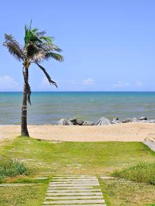 a palm tree on a sandy beach with a pathway at Pousada Varanda da Praia in Conceição da Barra
