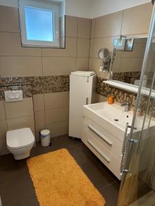 ein Badezimmer mit einem Waschbecken, einem WC und einem Spiegel in der Unterkunft Apartment with balcony Hiša Brdo 48 in Bovec
