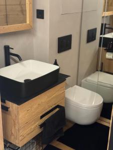 łazienka z umywalką i toaletą w obiekcie TOP 40 w mieście Warth am Arlberg