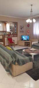 a living room with a couch and a tv at Efrossini House in Kalabaka